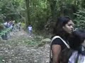 MATA DA COLÔNIA CAMINHO DA CACHOEIRA