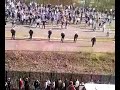 rellen feyenoord groningen