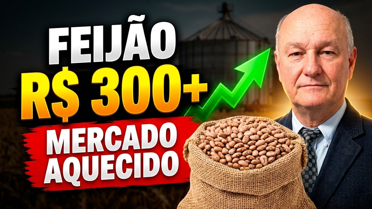 Feijão Carioca Acima de R$300, Polêmica no Leilão do Arroz e Alta no Trigo: Análise do Mercado