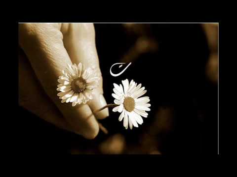 غريبه الليالي - مصعب المقرن