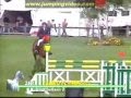 Equine Music Video