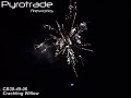 CB38-49-06 Crackling Willow; Pyrotrade Fireworks