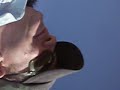 Search Video