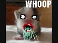 SHOOP DA WHOOP SHOOP DA WHOOP