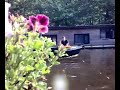 Bed and Breakfast Amsterdam