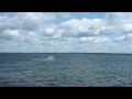 Kiteboard 1