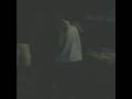 videos de Festinha