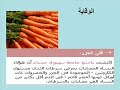 Breast cancer Dr. Raouf Roshdy an interview with the Egyptian TV Infertility gynecology obstetrics assisted fertility sexual dysfunction ovulation pap smears ISCI IVF IUI menopause PCO circumcision dysparunia HSG premarital early diagnosis antenatal care osteoporosis family planning delivery labor health education cervix laparoscopy abortion woman