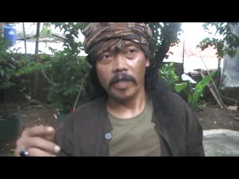 lambang setia hati terate. images PSHT persaudaraan setia hati persaudaraan setia hati terate.