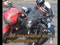 Maskotki Motobracia Team Maskotki Motobracia Team