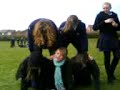 Tunny pyramid Tunny pyramid