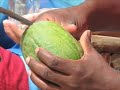 (www.vest.si) coctail-zanzibar