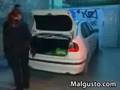 videos de conductor loco