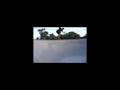 a skate at the park 0808