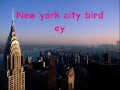 new york_0001.wmv