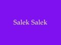 Salek Salek
