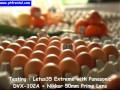 testing Letus35-1.flv