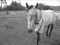 Sacret Storm Image; 'Im Stuck On A Face' ♥