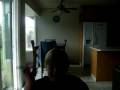 Motel 6-ghosts in tha winda Motel 6-ghosts in tha winda