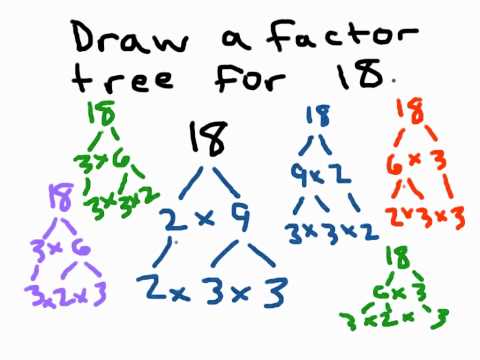 how to factor tree