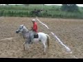 Click here to watch this video Última carreira do cavalo 