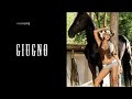 diego-conte-e-brigitta-bulgari.html