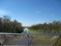 videos de Airboat in Everglades