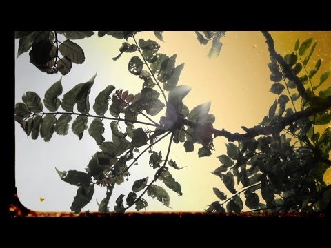 YouTube Preview Image