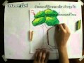 วาดภาพสีชอล์ค(ต้นไม้) โดย ครูอ๊อฟ - YouTube