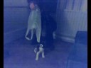 Itachi Playing with the Cat