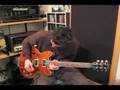 Aynsley Lister playing to Buddy Guy style track