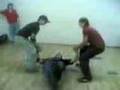 Funny and painfull accident ;)