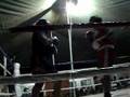 videos de jorgesolisteddy.wmv