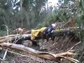 Weld Valley forest defenders Weld Valley forest defenders