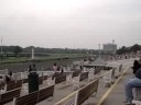 Greg's Day At Arlington Park