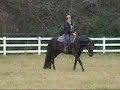 Skipa Do Bar - Showmanship, Lead change, turn around