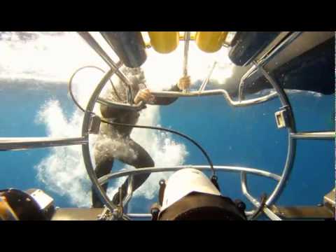 Mejor video de deportes extremos