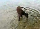 Hooper finds water