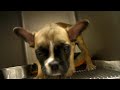SANY0679.MP4