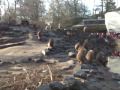 dierenpark emmen baviaantjes eten geven