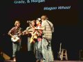 Wagon Wheel - Anteaters\