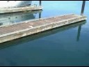 Aug 22 2008 - VID00085 Aug 22 2008 - VID00085