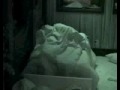 BB7 Boogie getting his Box
