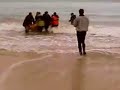 Dolphin rescue - 15th January 2007