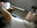 el comienso de un agran pelea