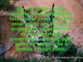 20 Frases motivacionais - Manotom - Parte IV 20 Frases motivacionais - Manotom - Parte IV