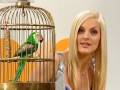 Sandy Moelling - Autsch TV