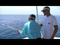 videos de Catching a Bull Shark Take 2
