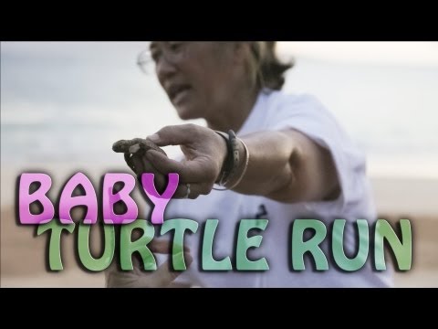 maui home video