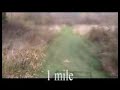 Foot Locker Midwest Regional Course - UW-Parkside